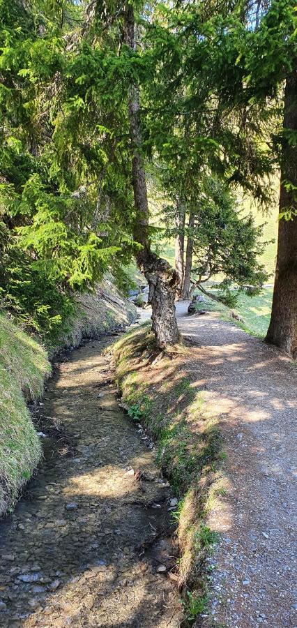 Un Moment De Detente Inoubliable Saillon-Les-Bain Zewnętrze zdjęcie